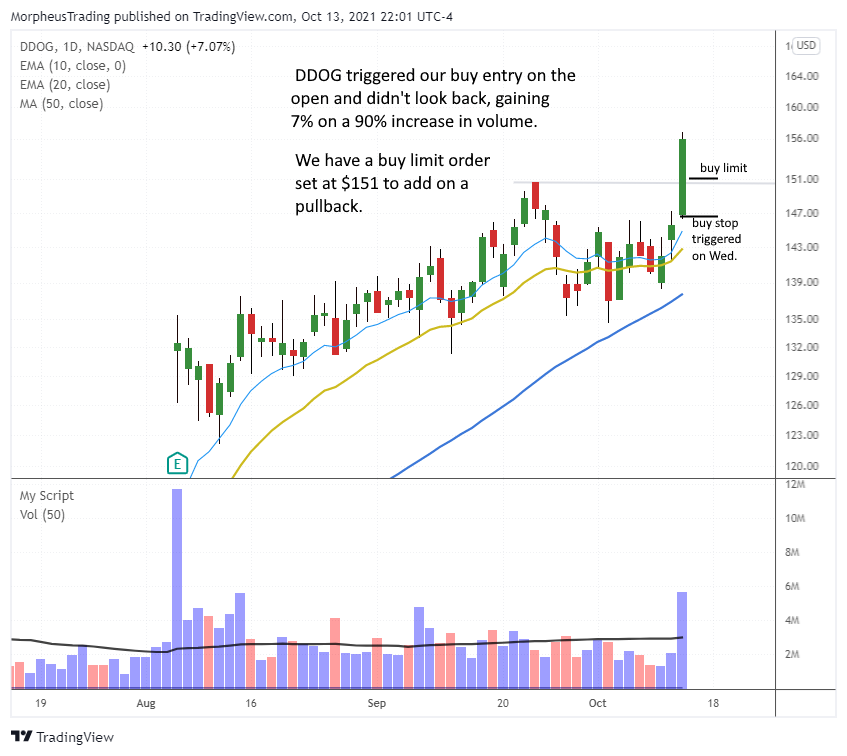 The Wagner Daily - Potential buy signal in $CRWD and $AMD 7 $DDOG daily