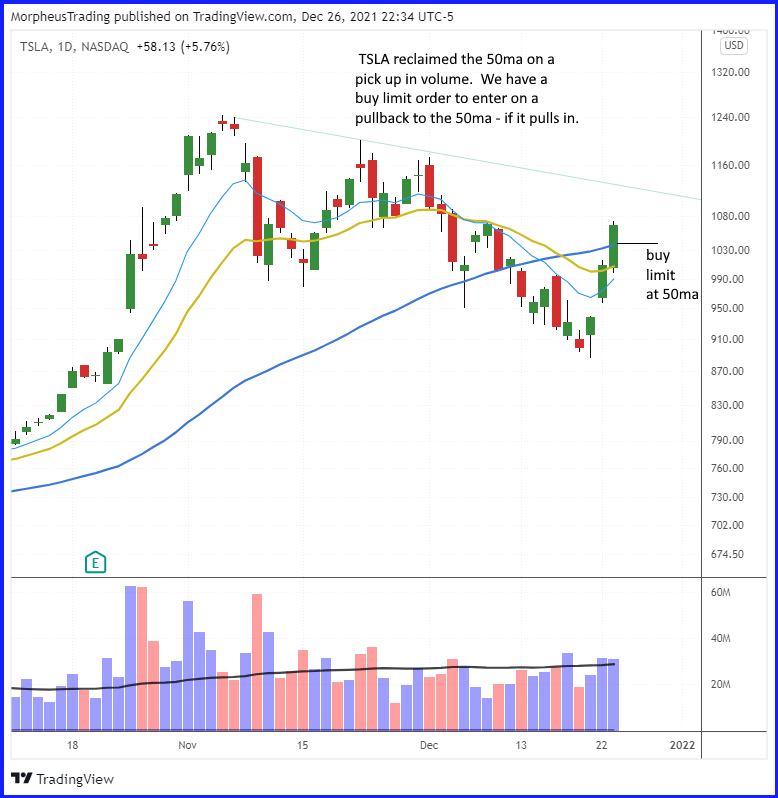 The Wagner Daily - Stocks to Watch: $MU, $AMD, $TSLA 1 TSLA daily
