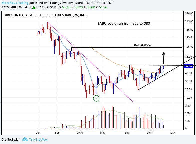 $LABU DAILY