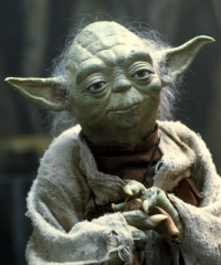 yoda yoda-is-disciplined