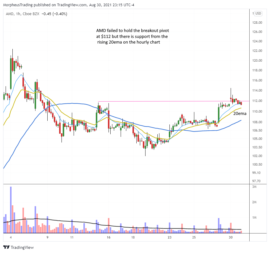 The Wagner Daily - Uptrend potential: $CVNA near 50-day MA 9 $AMD daily
