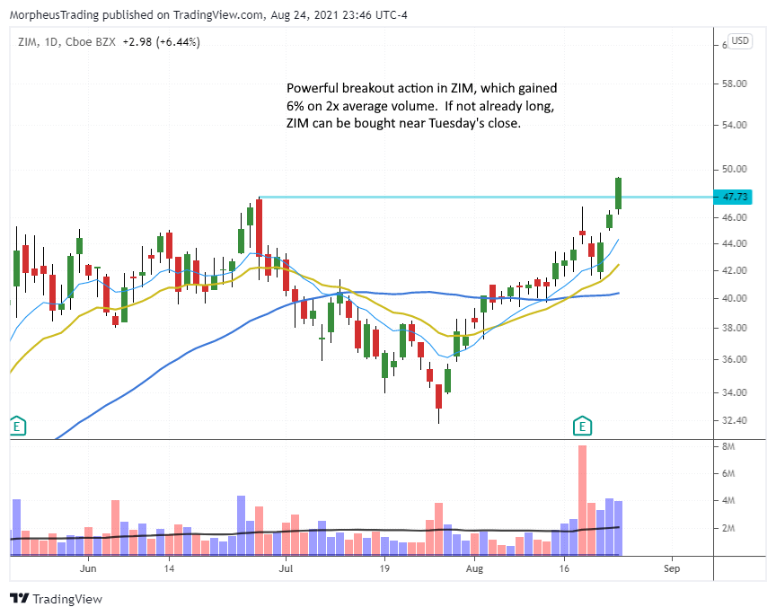 The Wagner Daily - Growth stocks leading as $SNAP, $ZIM, and $DDOG added to model portfolio 1 $ZIM daily