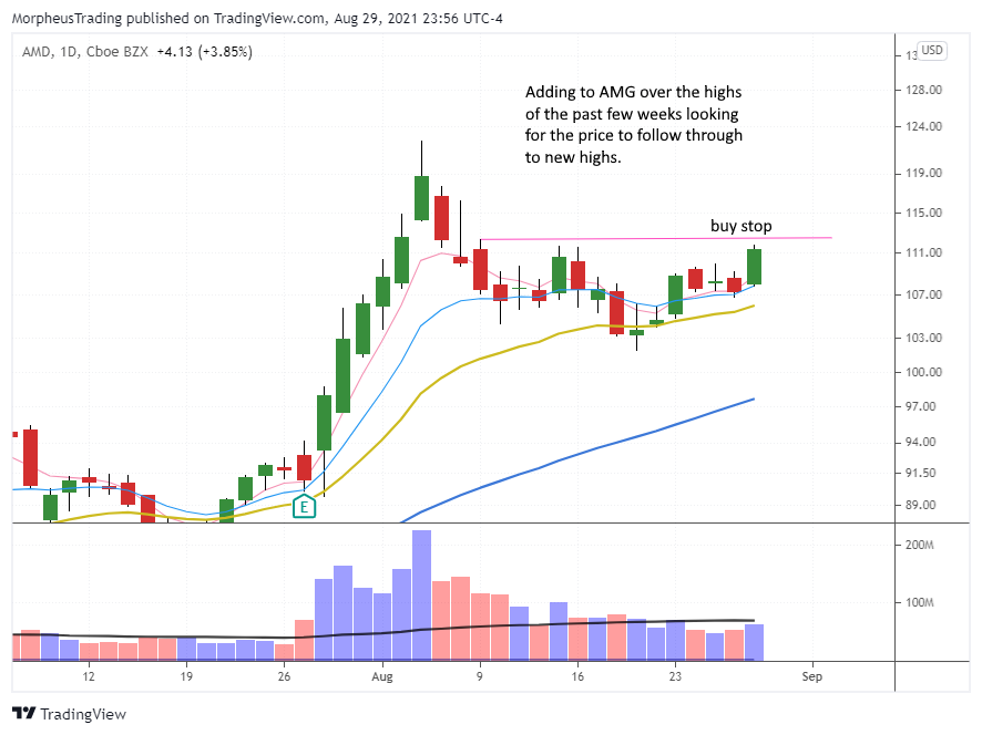 $AMD daily