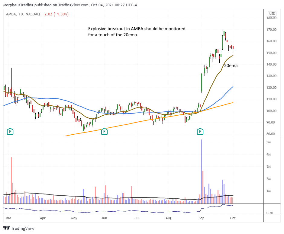 The Wagner Daily - S&P 500, Nasdaq Reversal 8 AMBA daily