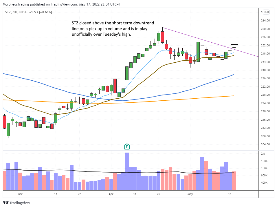 $STZ daily 