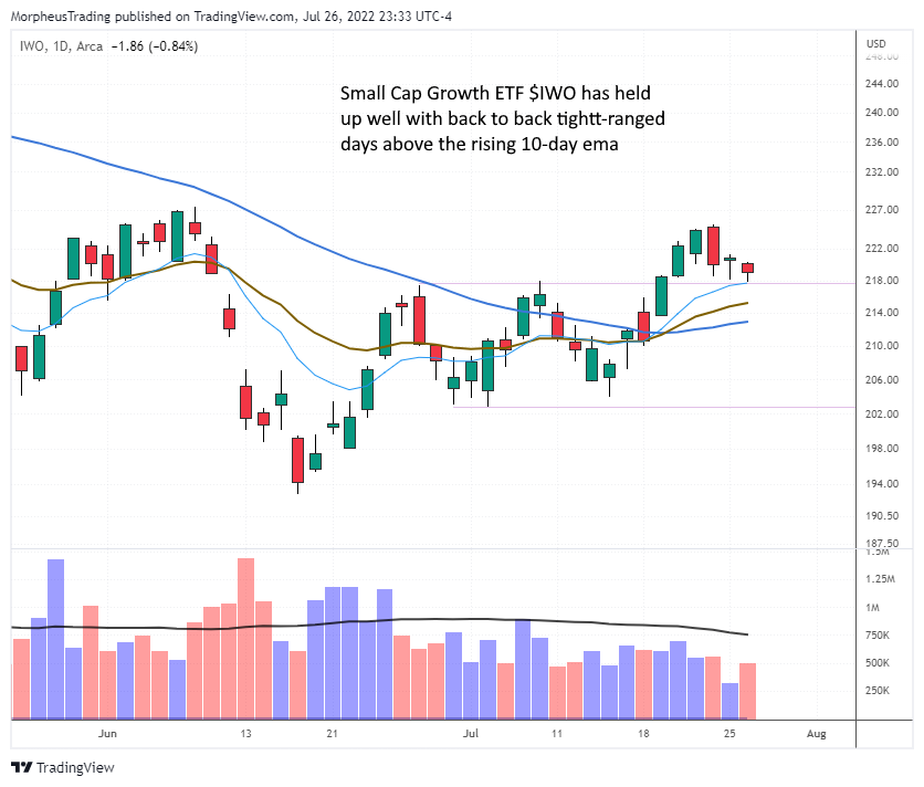 The Wagner Daily - LNTH & SWAV Report Earnings Soon: 5% Profit Buffer Needed 4 $IWO daily