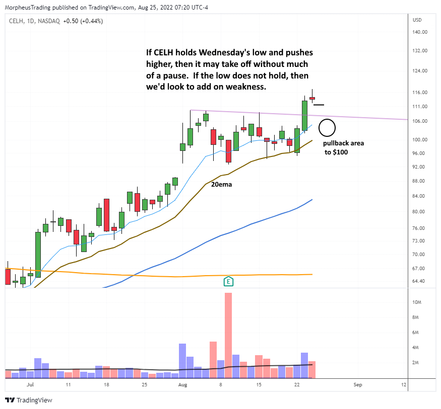 The Wagner Daily - Strong Semi Stocks: $ON and $WOLF Lead the Way 6 CELH daily
