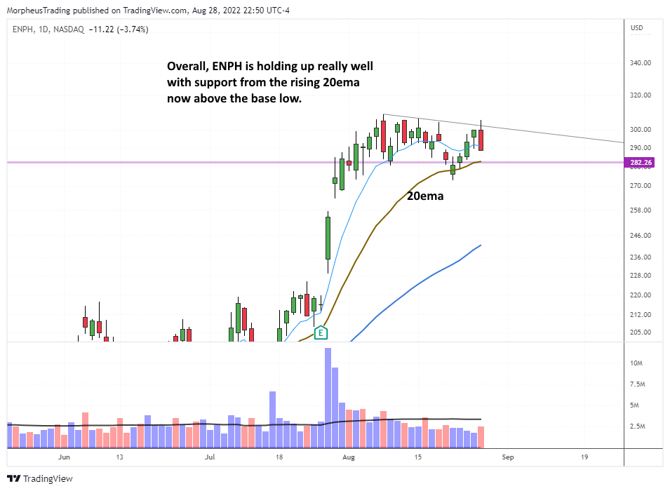 The Wagner Daily - Low-Risk Entry: $ENPH and $CELH Eye 20-Day EMA 1 $ENPH daily
