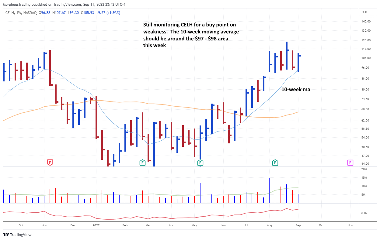 The Wagner Daily - Play Ready: $PRVA Set to Rise? 6 ARRY year yield