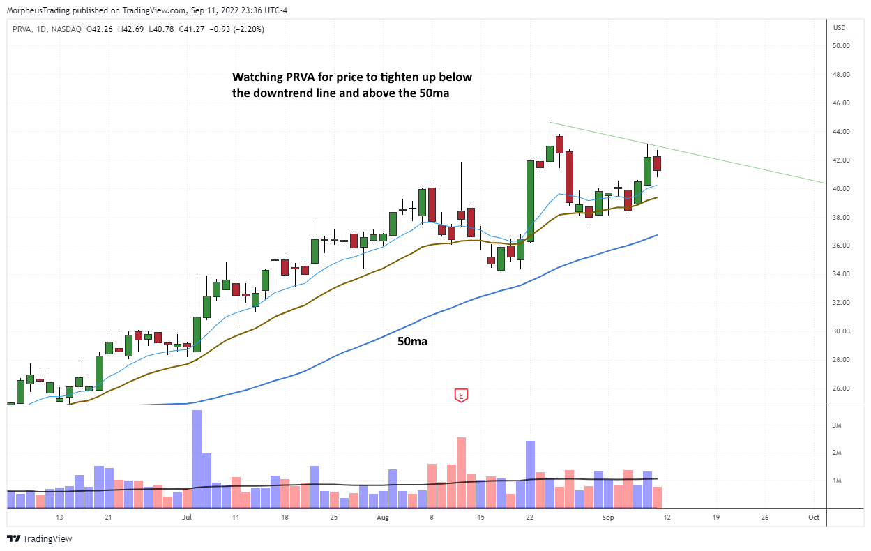 The Wagner Daily - Play Ready: $PRVA Set to Rise? 1 enph daily