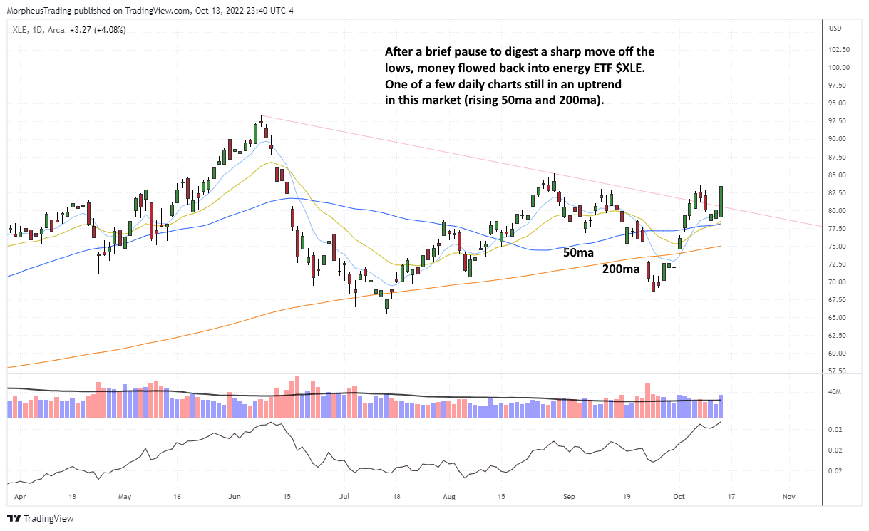 The Wagner Daily - $XLE ETF: A Bright Spot in Bear Market 1 $XLE daily