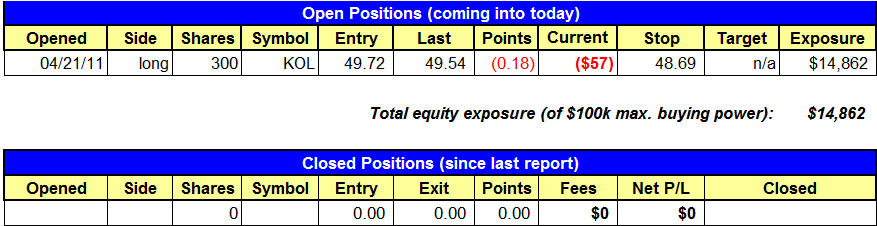 position summary